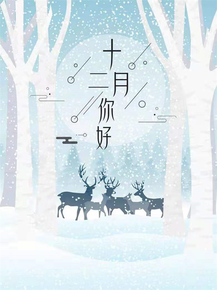 正在播放《十二月的雪》